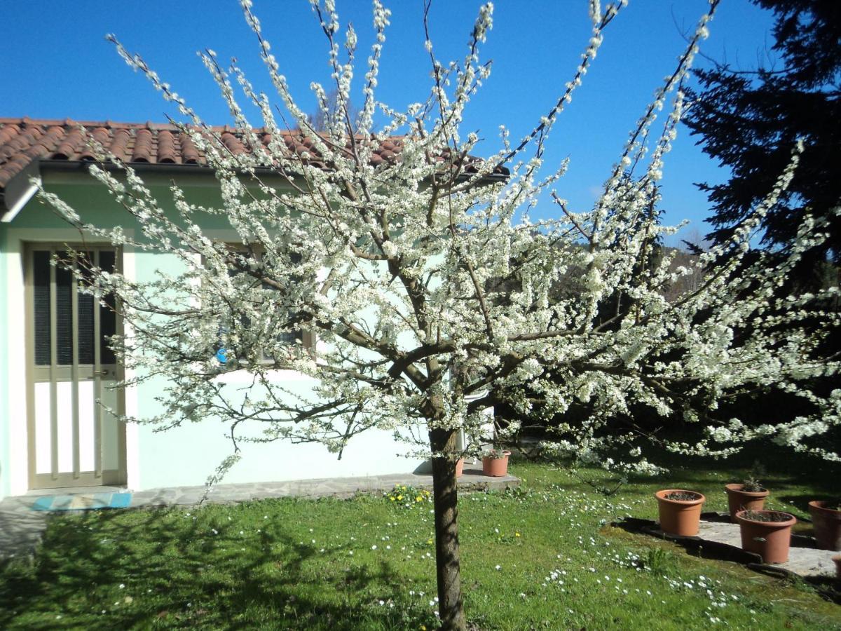Casa Le Sorelline Guest House San Macario In Piano Bagian luar foto